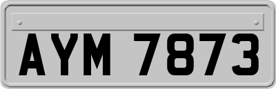 AYM7873