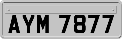 AYM7877