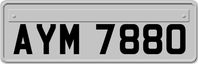 AYM7880