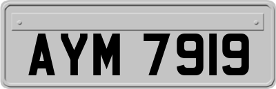 AYM7919