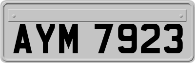 AYM7923
