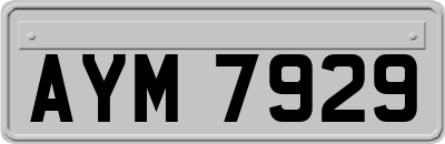 AYM7929