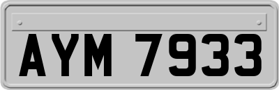 AYM7933
