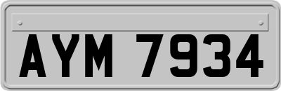 AYM7934