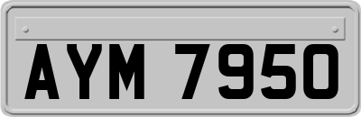 AYM7950