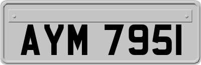 AYM7951