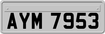 AYM7953