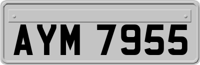 AYM7955
