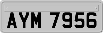 AYM7956