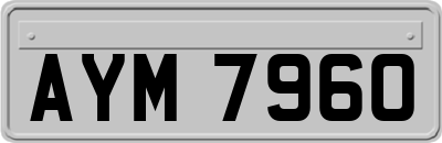 AYM7960