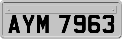 AYM7963
