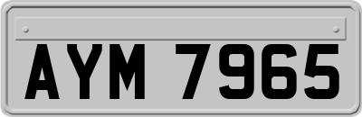 AYM7965