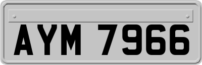AYM7966