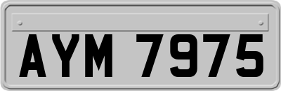 AYM7975