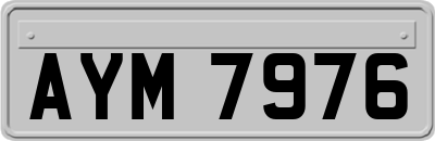 AYM7976