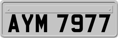 AYM7977
