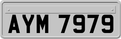 AYM7979