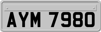 AYM7980