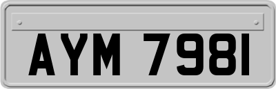 AYM7981