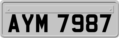 AYM7987