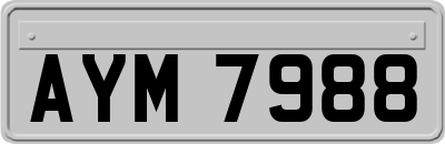 AYM7988