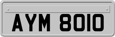 AYM8010
