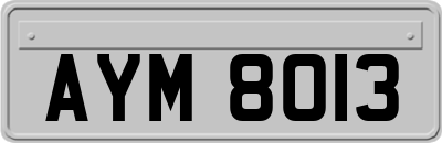 AYM8013