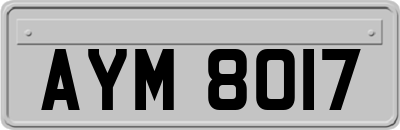 AYM8017