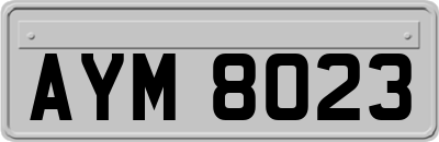 AYM8023