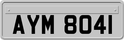 AYM8041