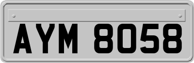 AYM8058