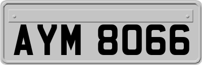 AYM8066