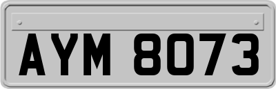 AYM8073