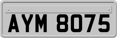 AYM8075