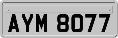 AYM8077