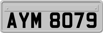 AYM8079
