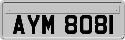 AYM8081