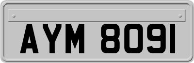AYM8091