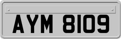 AYM8109