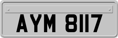 AYM8117