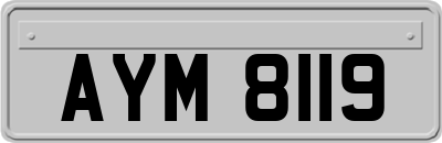 AYM8119