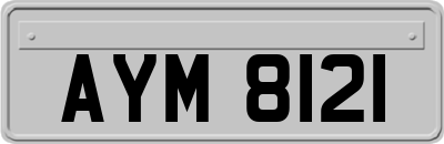 AYM8121