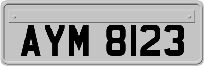 AYM8123