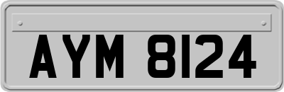 AYM8124
