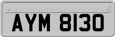 AYM8130