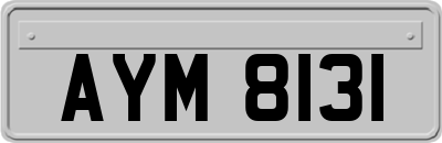 AYM8131
