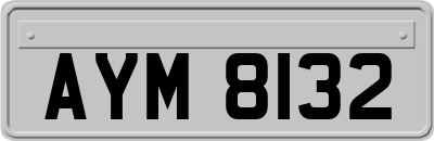 AYM8132