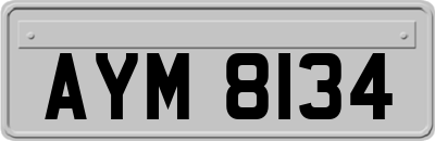 AYM8134