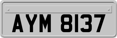AYM8137