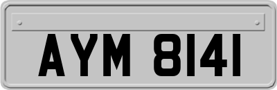 AYM8141